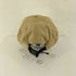 ノースフェイスパープルレーベル THE NORTH FACE PURPLE LABEL WINDSTOPPER Cap メンズ