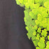ボクハタノシイ BOKU HA TANOSII スカルクローバーTシャツ メンズ 3XL