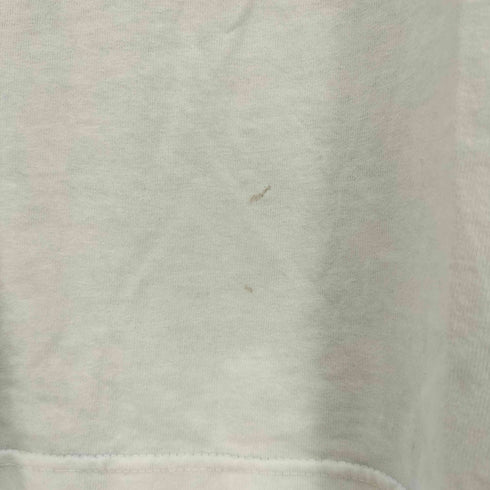 ステューシー Stussy ホンジュラス製 恐竜 Tシャツ メンズ import:M