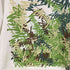 ステューシー Stussy Girles ロングスリーブTシャツ ロンT レディース import:M