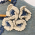 エポカ Epoca 刺繍 アンサンブルカーディガン レディース JPN:40