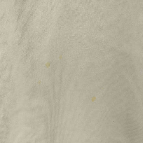 ゲス GUESS GUESS GREEN LABELs Photo 2 フォトプリント クルーネックカットソー メンズ