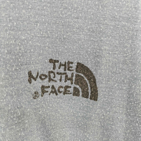 ザノースフェイス THE NORTH FACE バッグロゴロングスリーブTシャツ メンズ import:M