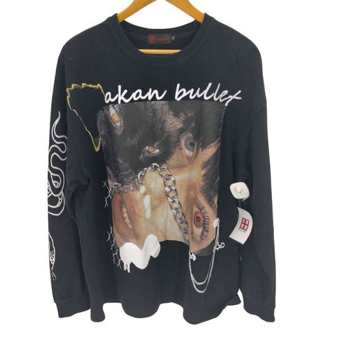 フォトプリントロングスリーブTシャツ メンズ import:XL