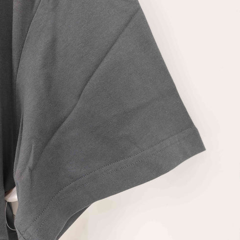 サプライヤー SUPPLIER MICRO LOGO TEE メンズ JPN:M