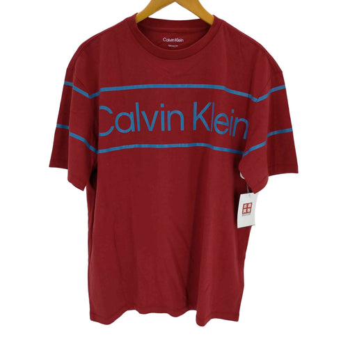 カルバンクライン CALVIN KLEIN ビックシルエットTシャツ メンズ import:S