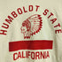 チャンピオン Champion HUMBOLDT STATE CALIFORNIA インディアンプリント ラグランカットソー メンズ LARGE