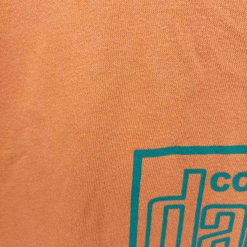 ダンケシェーン Danke Schon COLLECTION danke クルーネックTシャツ メンズ FREE