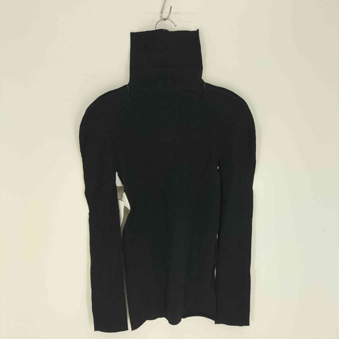 イッセイミヤケ ISSEY MIYAKE A.POC INSIDE ナイロン コットン ポリウレタン タートルネック 平面パターン カットソー レディース JPN:2