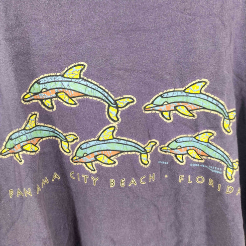 タルテックス TULTEX F&M EXPRESSIONS PANAMA CITY BEACH クルーネックTシャツ メンズ import:XL