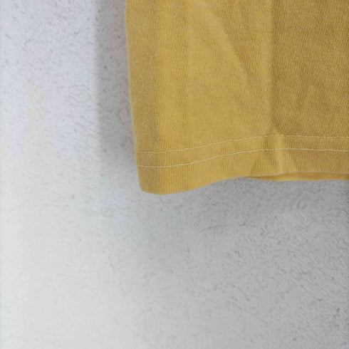 ステューシー Stussy Camellias Pig Dyed Tee メンズ JPN:M