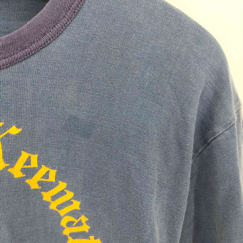 ベルバシーン Velva Sheen 60S~70S ラバープリント リンガーTシャツ メンズ import:L