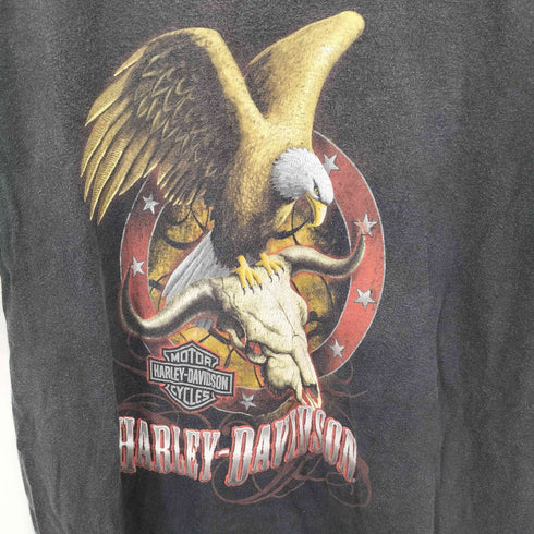 ハーレーダビッドソン HARLEY-DAVIDSON メキシコ製 両面プリント 鷲 S/S Tシャツ メンズ import:S