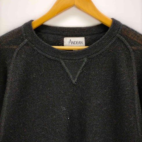 ANDEAN ラグランスリーブニット メンズ import:M