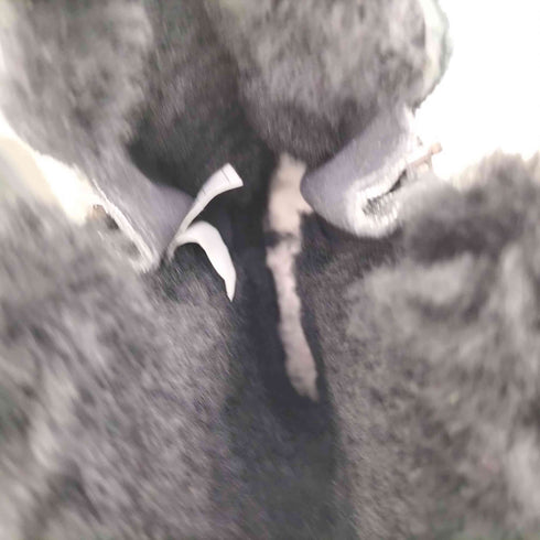 アグオーストラリア UGG Australia CLASSIC SHORT SPARKLE ZIP ムートンブーツ レディース JPN:24