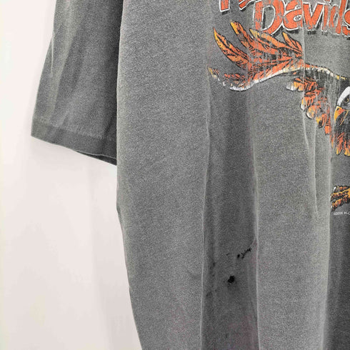 ハーレーダビッドソン HARLEY-DAVIDSON 90-00S USA製 MANTENO 両面 イーグル プリント ダメージ クルーネック S/S Tシャツ シングルステッチ ボロ メンズ import:L