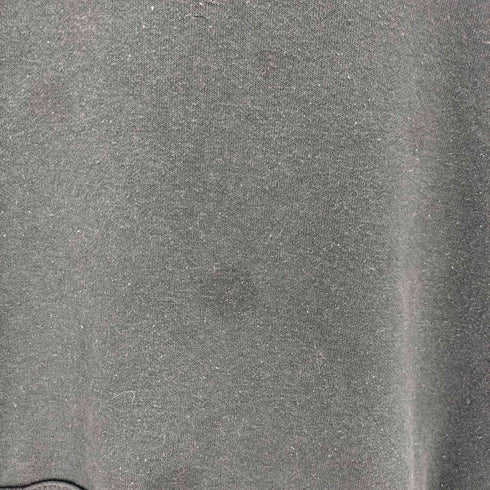 カーハート Carhartt 袖プリント プルオーバーパーカー メンズ 3XL