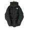 ザノースフェイス THE NORTH FACE Him Down Parka ヒムダウンパーカ GORE-TEX WINDSTOPPER メンズ JPN:M
