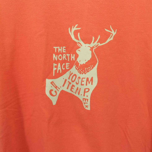 ザノースフェイス THE NORTH FACE ANIMAL PAINT TEE アニマルペイント クルーネック S/S Tシャツ レディース import:L
