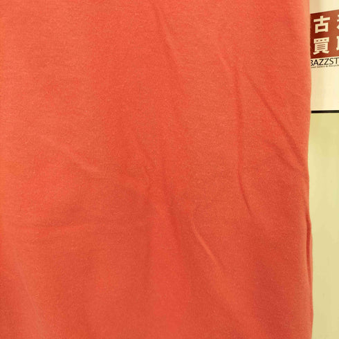 ザノースフェイス THE NORTH FACE ANIMAL PAINT TEE アニマルペイント クルーネック S/S Tシャツ レディース import:L