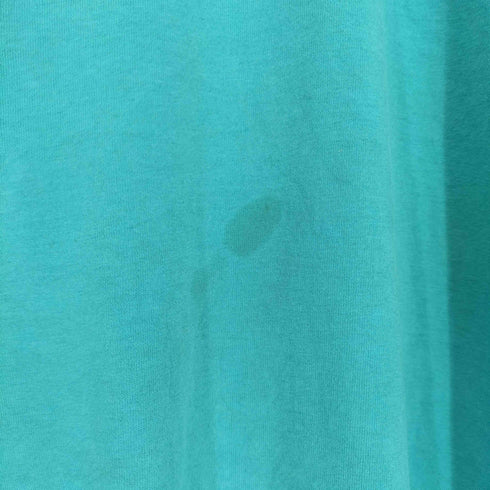 フルーツオブザルーム FRUIT OF THE LOOM BEST 90S ALVAMAR プリントTシャツ 袖裾シングル メンズ XL