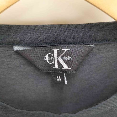 カルバンクライン CALVIN KLEIN 90-00S 三角タグ クルーネック S/S Tシャツ メンズ import:M