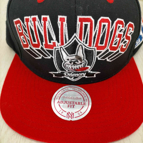 ミッチェルアンドネス mitchell&ness loweres スナップバッグキャップ メンズ