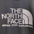 ザノースフェイス THE NORTH FACE ショートスリーブGTDロゴクルー Tシャツ メンズ JPN:L