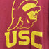 チャンピオン Champion USA製 T1011 カレッジプリント Tシャツ メンズ import:M