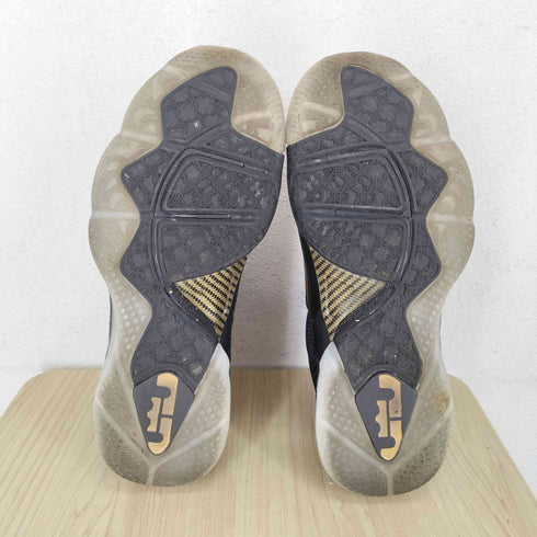 ナイキ NIKE Lebron 9 Watch The Throne メンズ 26cm
