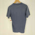 90S USA製 FRUIT OF THE LOM BEST ボディ SURVIVED THE LEMON SQUEEZE プリント 袖シングルステッチ Tシャツ メンズ import:S