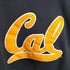 エムブイスポーツ MV SPORT CAL ワッペン 刺繍 カレッジロゴ プルオーバー パーカー メンズ import:S