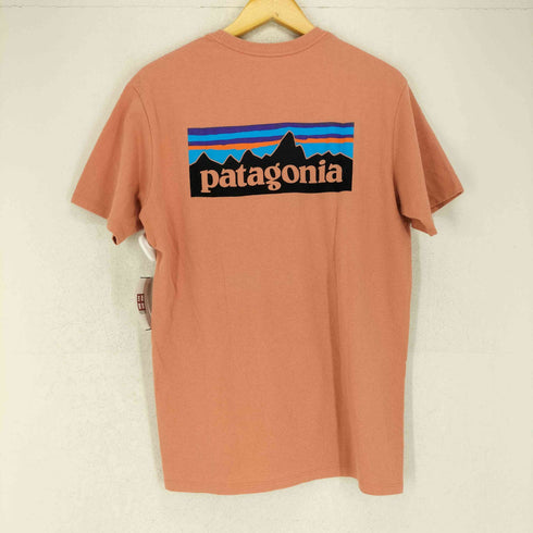パタゴニア patagonia Responsibili-Tee メンズ S