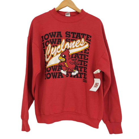 90S USA製 フルーツオブザルーム ボディ IOWA STATE キャラクタープリント クルーネック スウェット メンズ import:XL