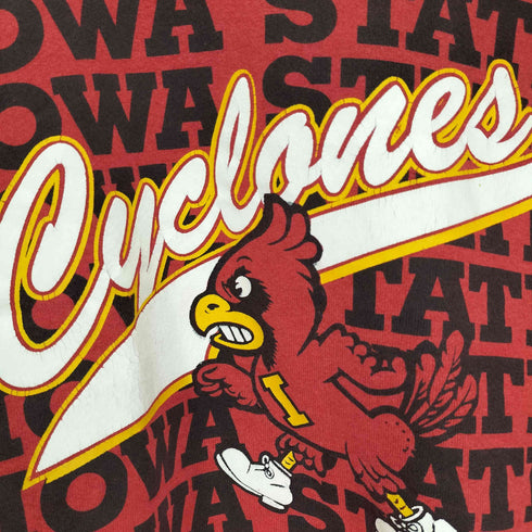 90S USA製 フルーツオブザルーム ボディ IOWA STATE キャラクタープリント クルーネック スウェット メンズ import:XL