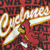 90S USA製 フルーツオブザルーム ボディ IOWA STATE キャラクタープリント クルーネック スウェット メンズ import:XL