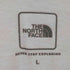 ザノースフェイス THE NORTH FACE トンネルビューロゴ 半袖Tシャツ メンズ JPN:L