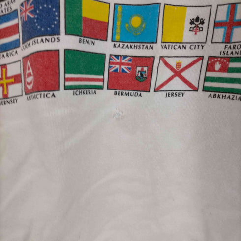 ユニバーシティ インターナショナルTシャツ メンズ