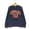 チャンピオン Champion 90s BASIC TRAINING USA製 カレッジロゴ クルーネックスウェット メンズ import:L