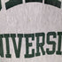 チャンピオン Champion 90s USA製 REVERSE WEAVE 刺繍タグ カレッジロゴ クルーネックスウェット メンズ XXL