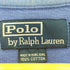 ポロバイラルフローレン Polo by RALPH LAUREN 香港製 コットン ポニー刺繍 ハーフジップカットソー メンズ import:M