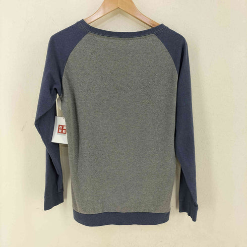 パタゴニア patagonia DEFEND WILDERNESS ラグランカットソー メンズ import:XS