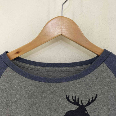 パタゴニア patagonia DEFEND WILDERNESS ラグランカットソー メンズ import:XS
