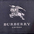 バーバリーロンドン BURBERRY LONDON 折り畳み パッカブル ナイロンコート メンズ 2L