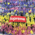 シュプリーム Supreme Space Dye Beanie メンズ
