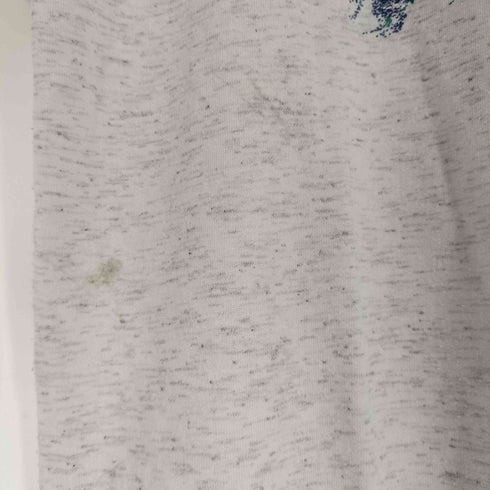 Niagara Falls プリント クルーネック Tシャツ メンズ import:M