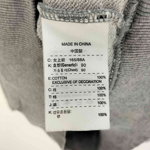 ナイキ NIKE 00S グレータグ フェルトロゴ スウェット トレーナー 2005年製 レディース import:L