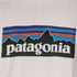 パタゴニア patagonia P-6 Logo Responsibili-Tee レスポンシビリ Tシャツ メンズ import:XS