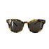 THE SHISHIKUI ARALE BEIGE DEMI clear domestic レディース