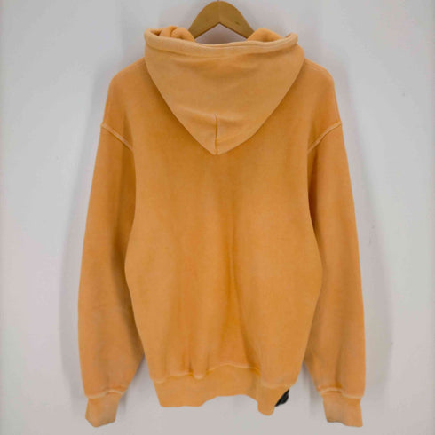 ステューシー Stussy RASTA LION ZIP HOODIE PIGMENT DYED メンズ import:S